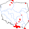 wystepowanie - Euphrasia ×vernalis (świetlik wiosenny)