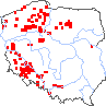 wystepowanie - Linaria arvensis (lnica polna)