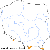 wystepowanie - Melampyrum herbichii (pszeniec Herbicha)