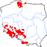 wystepowanie - Melampyrum sylvaticum (pszeniec leśny)