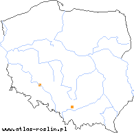 wystepowanie - Melampyrum barbatum (pszeniec brodaty)