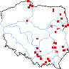 wystepowanie - Melampyrum polonicum (pszeniec polski)