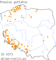 wystepowanie - Mimulus guttatus (kroplik żółty)