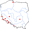 wystepowanie - Mimulus moschatus (kroplik piżmowy)