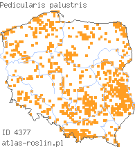 wystepowanie - Pedicularis palustris (gnidosz błotny)