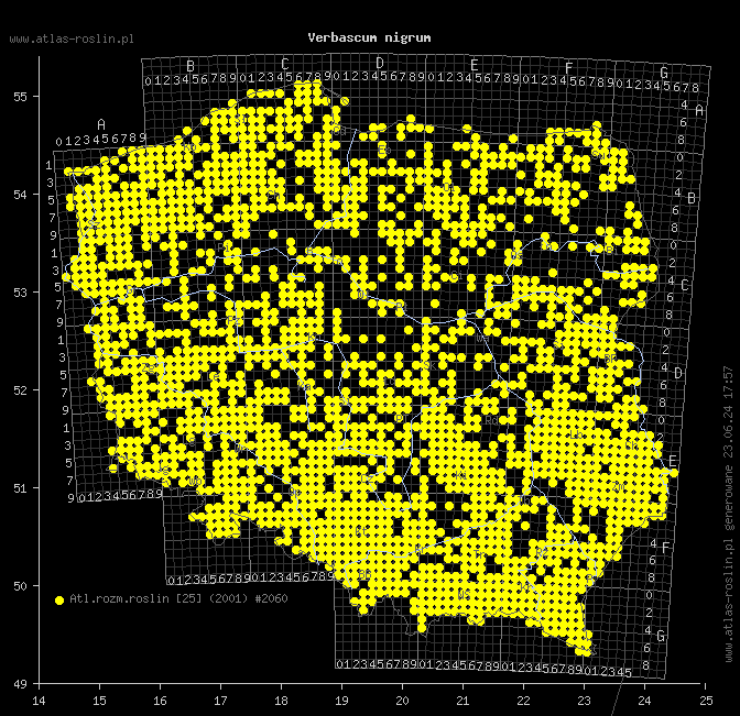 wystepowanie - Verbascum nigrum (dziewanna pospolita)
