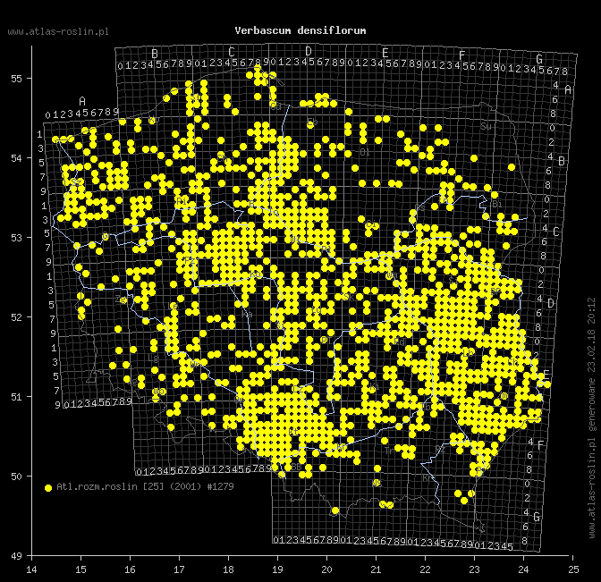 wystepowanie - Verbascum densiflorum (dziewanna wielkokwiatowa)