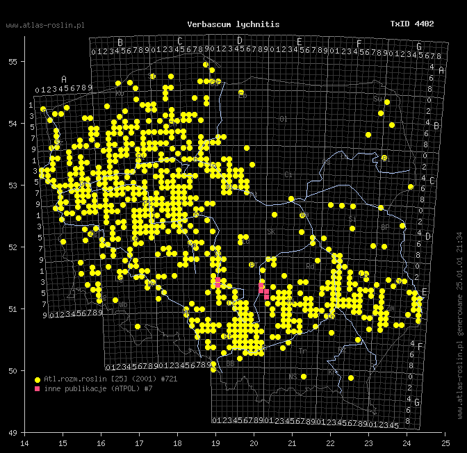 wystepowanie - Verbascum lychnitis (dziewanna firletkowa)