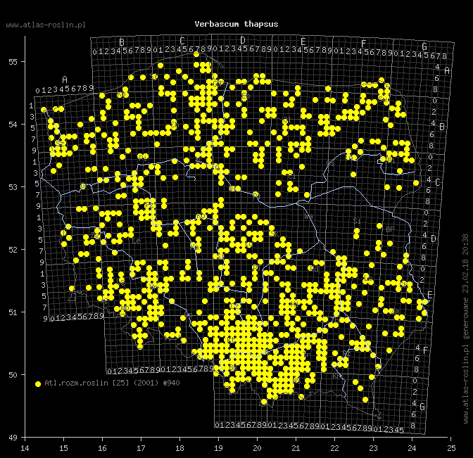 wystepowanie - Verbascum thapsus (dziewanna drobnokwiatowa)