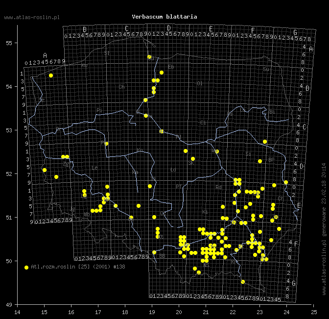 wystepowanie - Verbascum blattaria (dziewanna rdzawa)