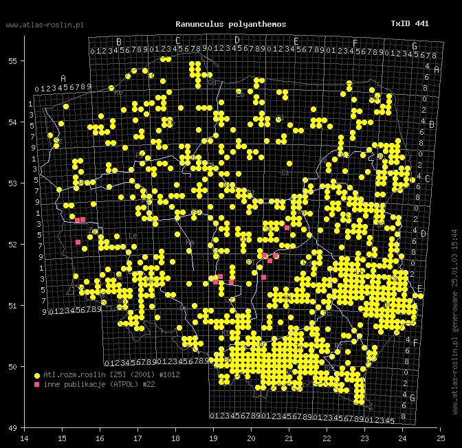 wystepowanie - Ranunculus polyanthemos (jaskier wielokwiatowy)