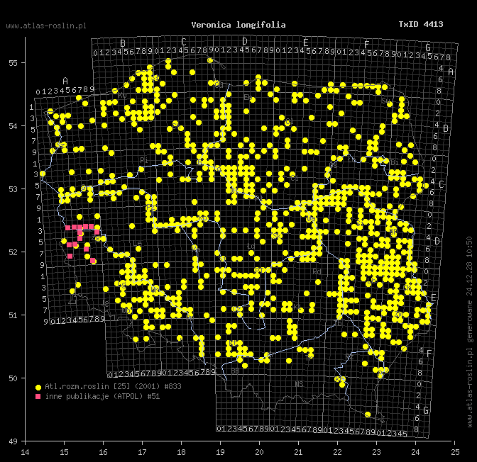 wystepowanie - Veronica longifolia ssp. maritimum (przetacznik długolistny)