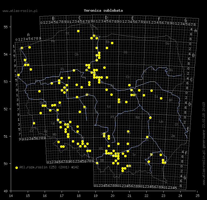 wystepowanie - Veronica sublobata (przetacznik blady)