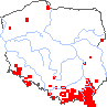 wystepowanie - Veronica filiformis (przetacznik nitkowaty)