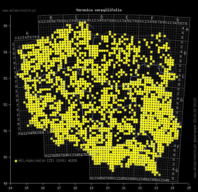 wystepowanie - Veronica serpyllifolia (przetacznik macierzankowy)