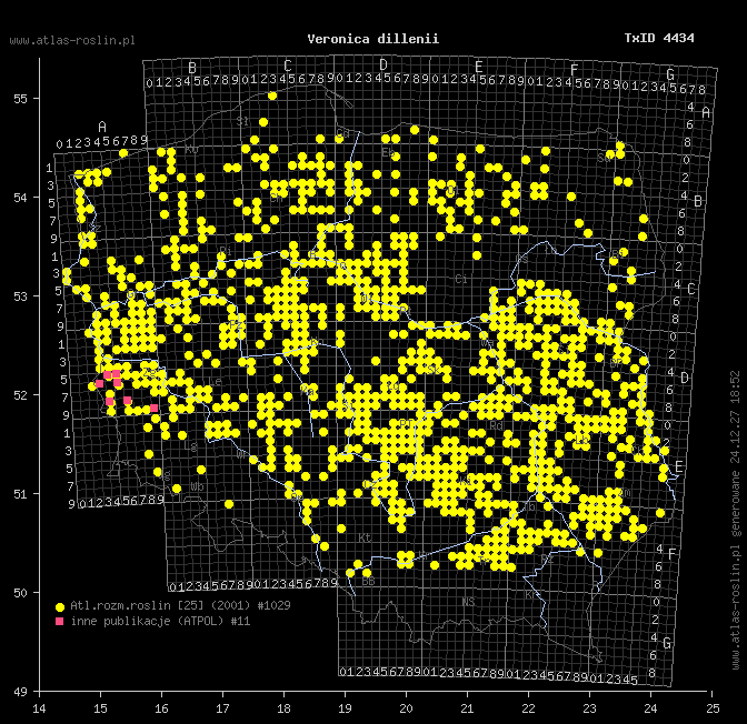 wystepowanie - Veronica dillenii (przetacznik Dillena)
