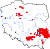 wystepowanie - Veronica austriaca (przetacznik ząbkowany)