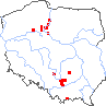 wystepowanie - Veronica vindobonensis (przetacznik pannoński)