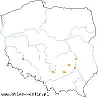 wystepowanie - Phelipanche arenaria (zaraźnica piaskowa)