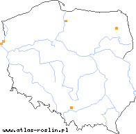 wystepowanie - Phelipanche purpurea (zaraźnica niebieska)