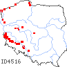 wystepowanie - Plantago coronopus (babka pierzasta)