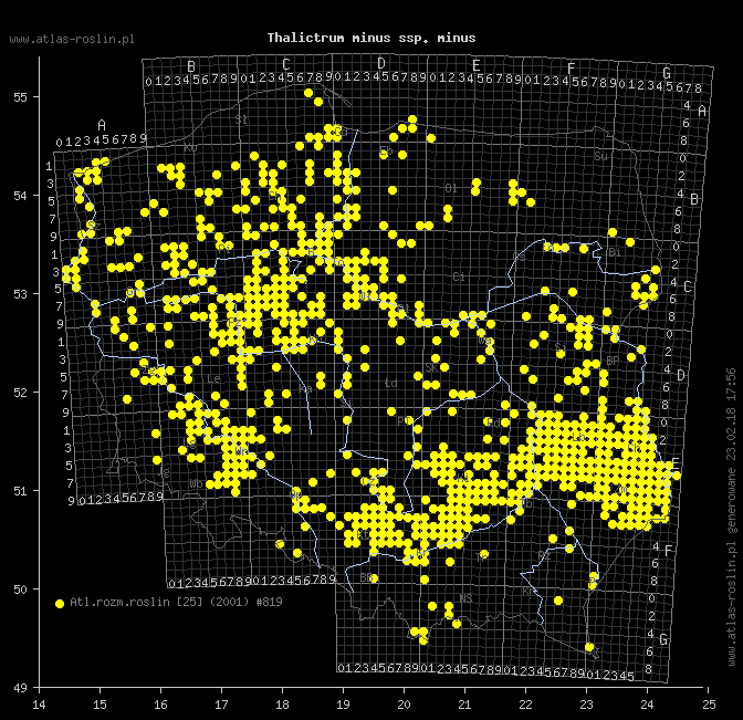 wystepowanie - Thalictrum minus ssp. minus (rutewka mniejsza typowa)