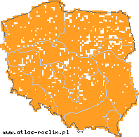 wystepowanie - Lycopus europaeus (karbieniec pospolity)