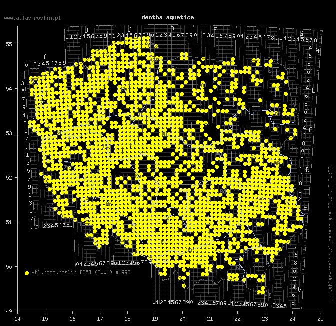 wystepowanie - Mentha aquatica (mięta nadwodna)