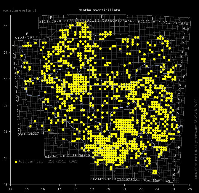 wystepowanie - Mentha ×verticillata (mięta okręgowa)