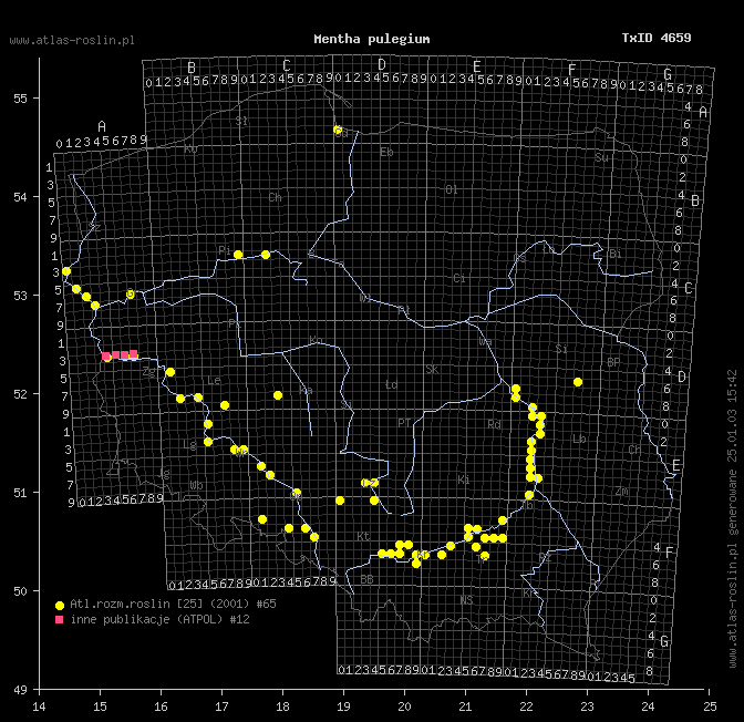wystepowanie - Mentha pulegium (mięta polej)