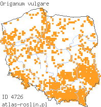 wystepowanie - Origanum vulgare (lebiodka pospolita)