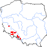 wystepowanie - Prunella laciniata (głowienka kremowa)