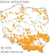 wystepowanie - Salvia verticillata (szałwia okręgowa)