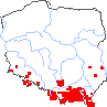 wystepowanie - Stachys alpina (czyściec górski)