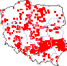 wystepowanie - Stachys annua (czyściec roczny)