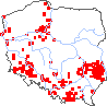 wystepowanie - Stachys germanica (czyściec kosmaty)