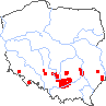 wystepowanie - Thymus glabrescens (macierzanka nagolistna)