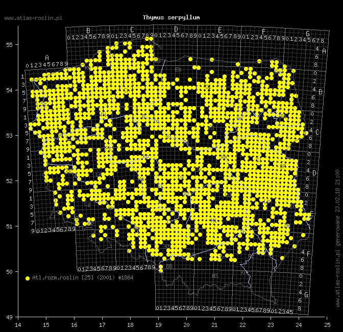 wystepowanie - Thymus serpyllum (macierzanka piaskowa)