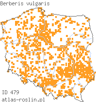 wystepowanie - Berberis vulgaris (berberys zwyczajny)
