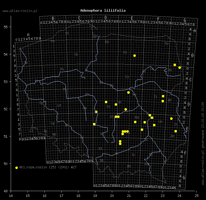 wystepowanie - Adenophora liliifolia (dzwonecznik wonny)