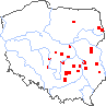 wystepowanie - Adenophora liliifolia (dzwonecznik wonny)