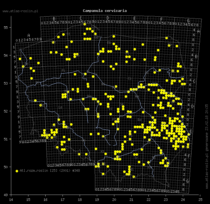 wystepowanie - Campanula cervicaria (dzwonek szczeciniasty)