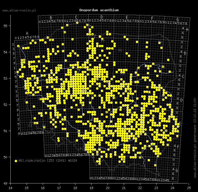 wystepowanie - Onopordum acanthium (popłoch pospolity)