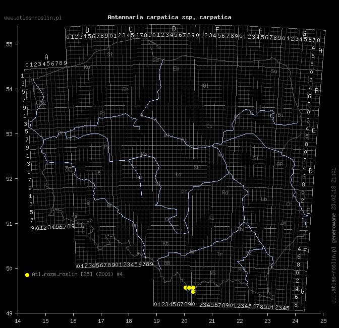 wystepowanie - Antennaria carpatica ssp. carpatica (ukwap karpacki typowy)