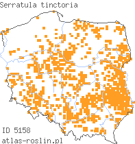wystepowanie - Serratula tinctoria (sierpik barwierski)