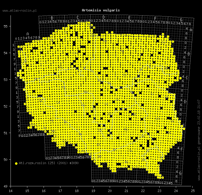 wystepowanie - Artemisia vulgaris (bylica pospolita)