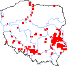 wystepowanie - Artemisia annua (bylica roczna)