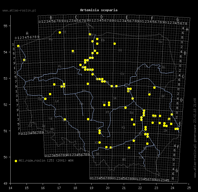wystepowanie - Artemisia scoparia (bylica miotłowa)