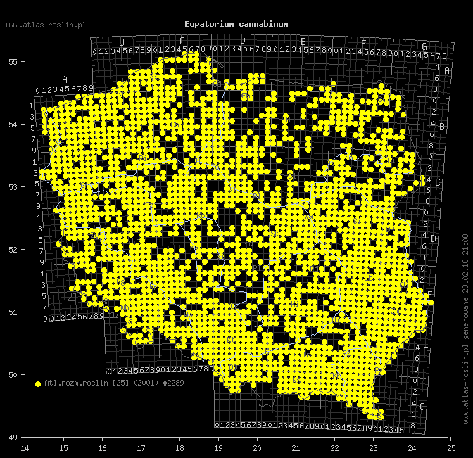 wystepowanie - Eupatorium cannabinum (sadziec konopiasty)
