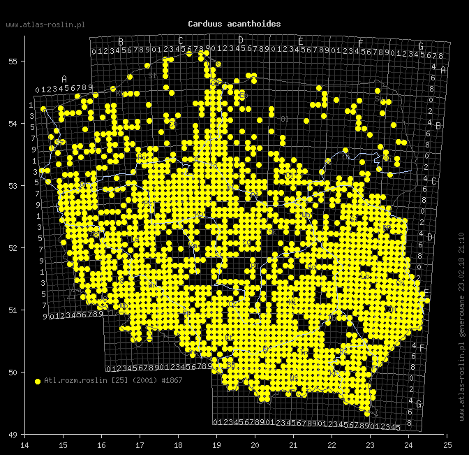 wystepowanie - Carduus acanthoides (oset nastroszony)